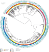 Investigating resistance in clinical Mycobacterium tuberculosis complex isolates with genomic and phenotypic antimicrobial susceptibility testing: a multicentre observational study