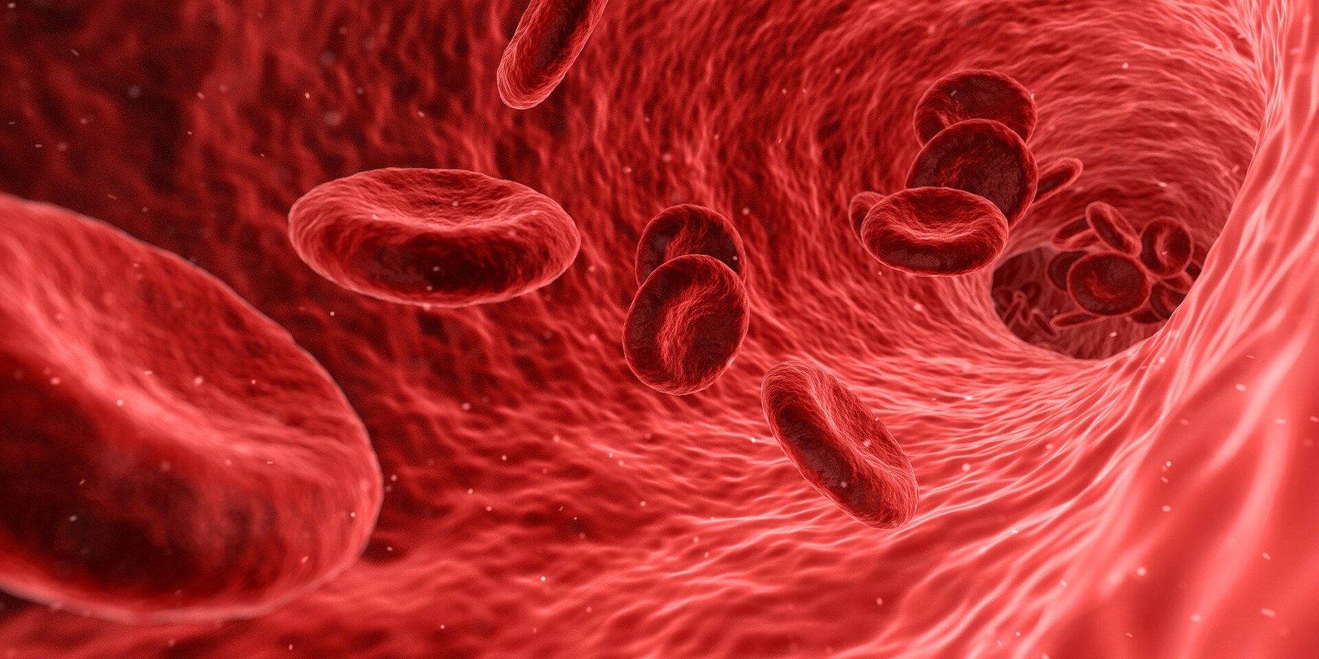 ¡Nueva publicación sobre anemia en la altura!