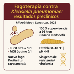 ¡Nuevo estudio sobre fagoterapia contra infecciones por Klebsiella pneumoniae!