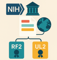 Nueva estructura de solicitud para colaboraciones internacionales financiadas por los NIH (NOT-OD-25-155)