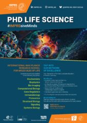 Oportunidad de Postulación: Escuela Internacional de Investigación Max Planck para Moléculas de la Vida (IMPRS-ML)