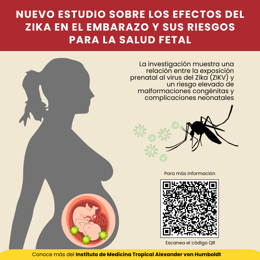 ¡Nuevo estudio sobre los efectos del Zika en el embarazo y sus riesgos para la salud fetal!