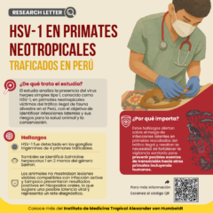 ¡Nueva publicación sobre herpes simplex tipo 1 en primates neotropicales traficados en Perú!