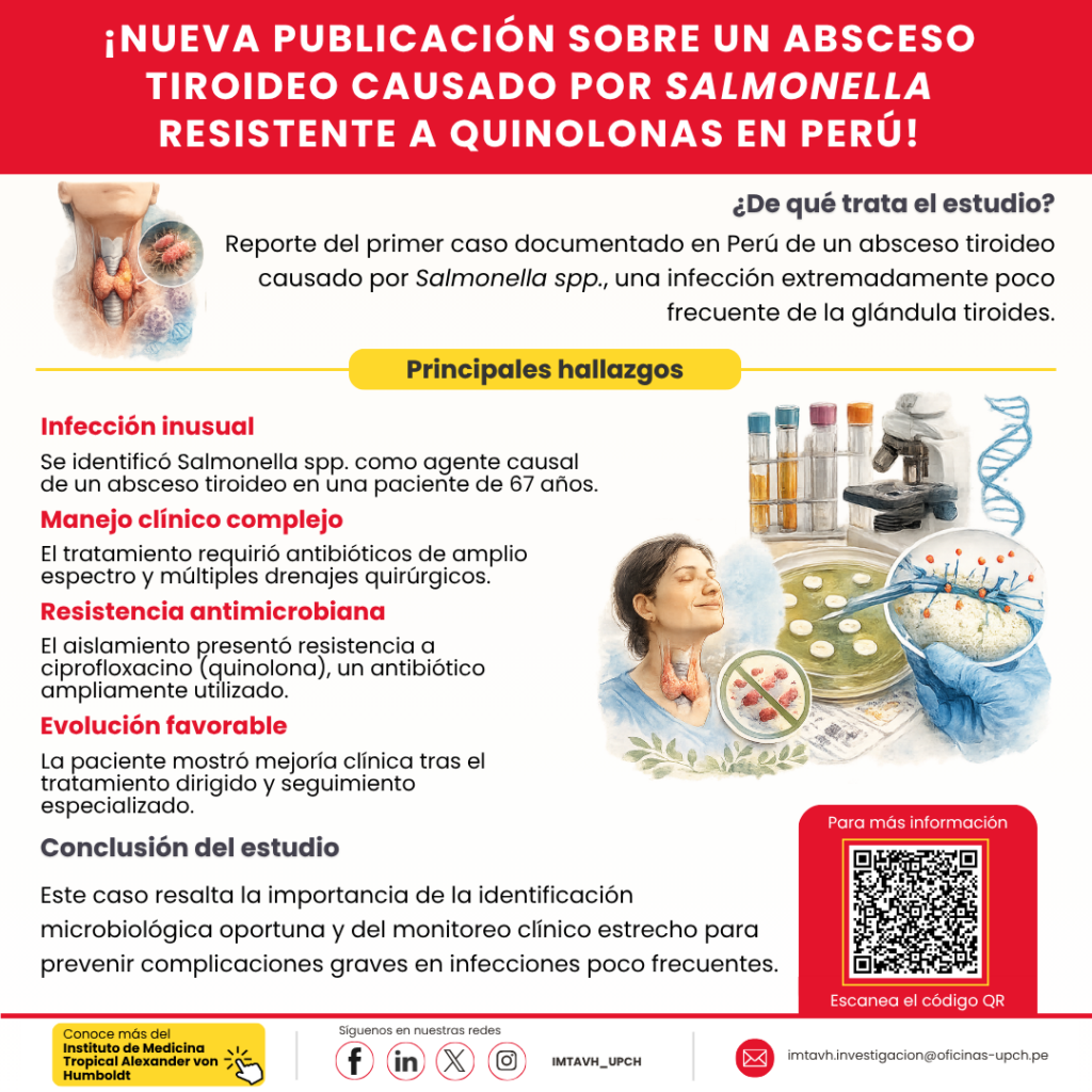 FLYER IMTAVH 2026