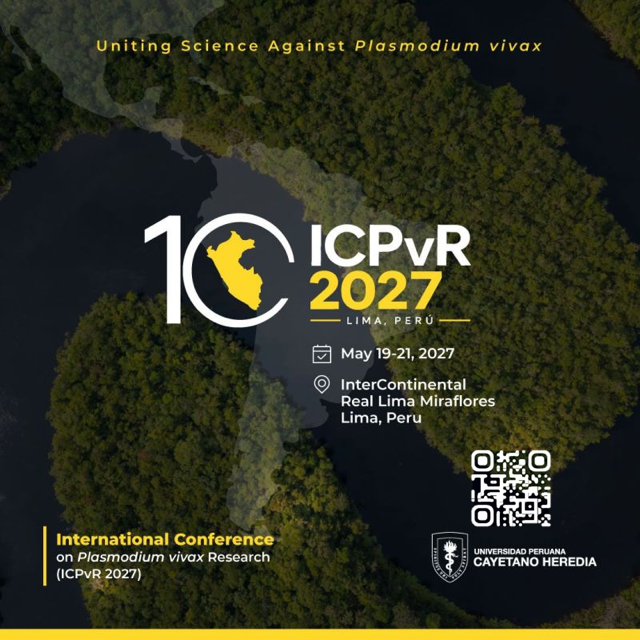 icpvr flyer solo (1)